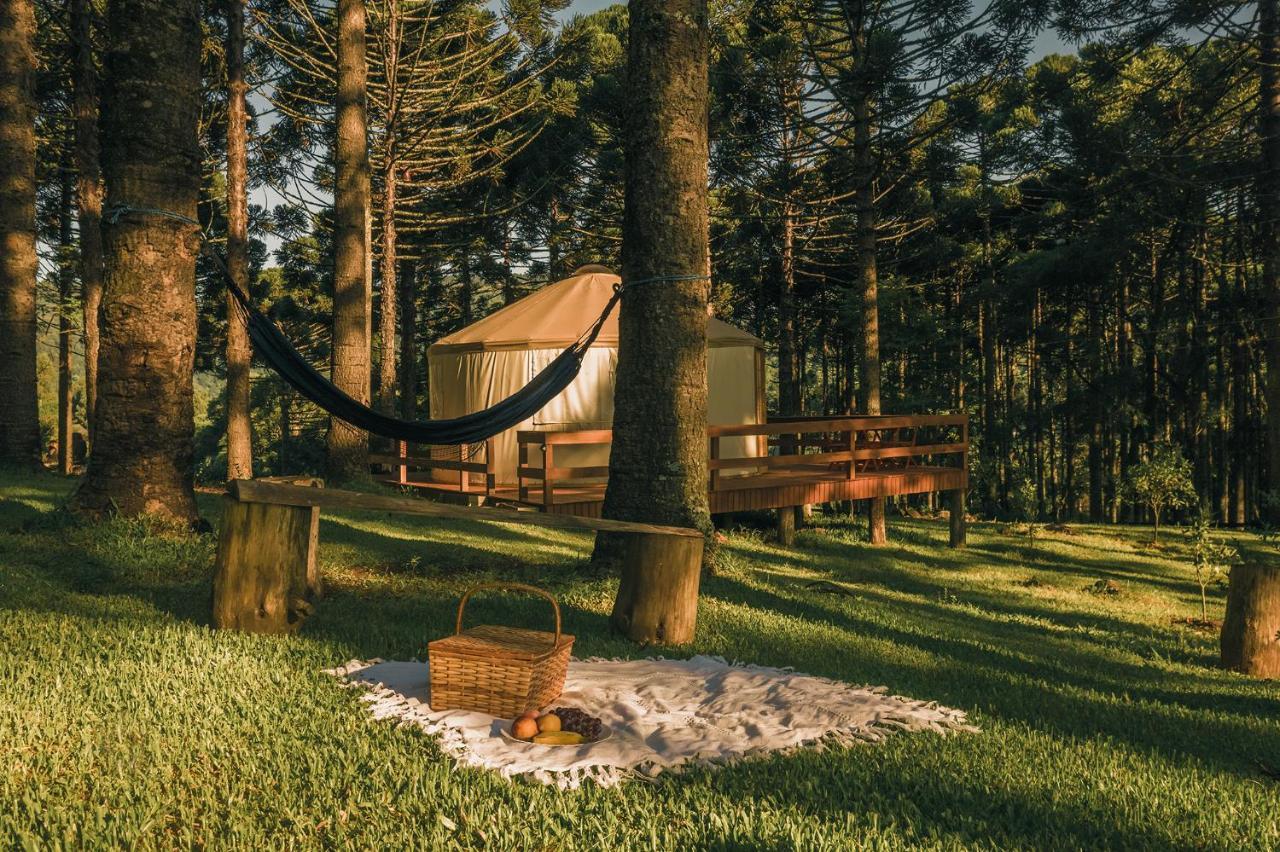 Estancia Las Araucarias Канела Екстер'єр фото